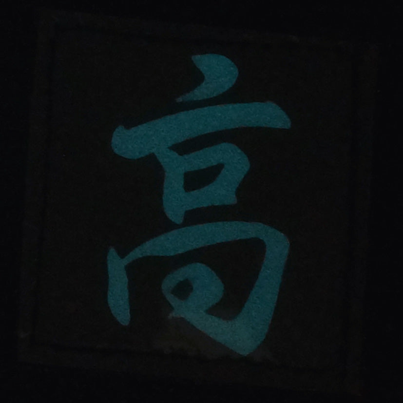 CHINESE SURNAME GLOW IN THE DARK PATCH - GAO 高