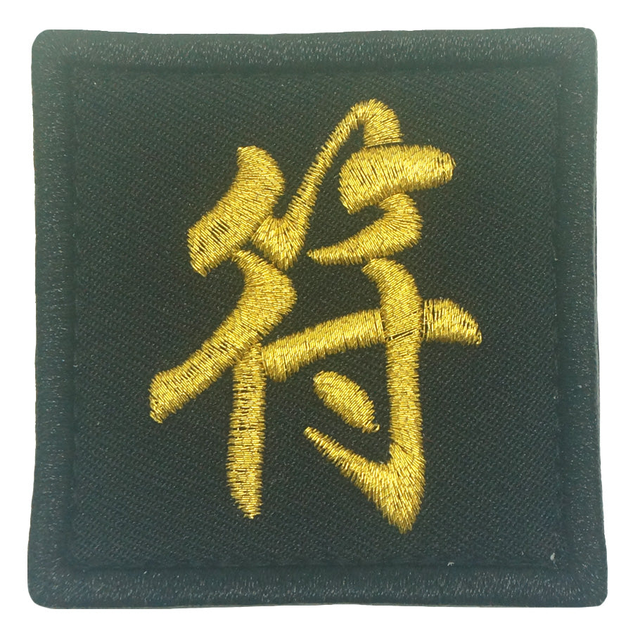 CHINESE SURNAME VELCRO PATCH - FU 符