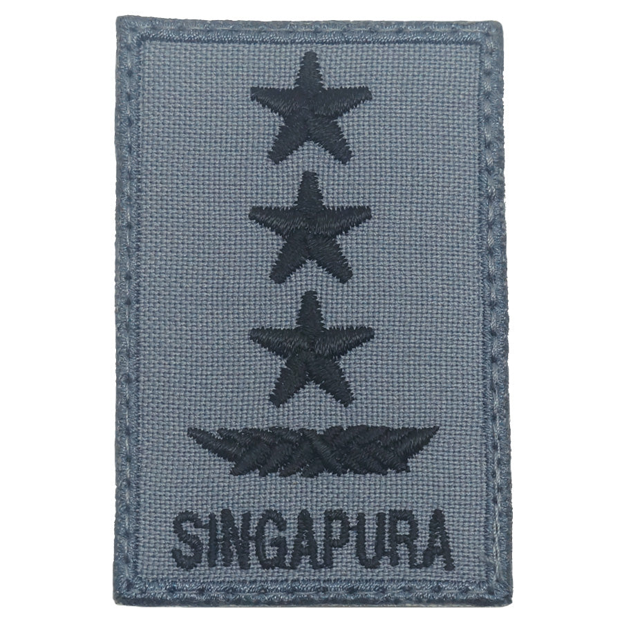 MINI RSAF/RSN RANK PATCH - LG