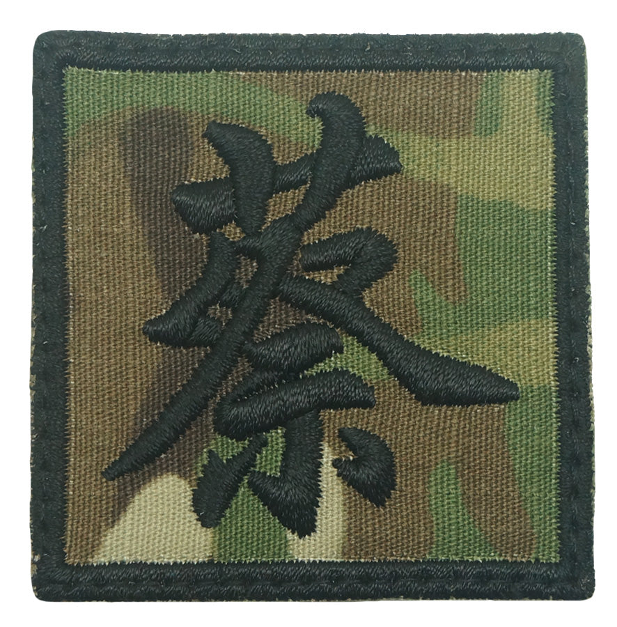 CAI PATCH - MULTICAM