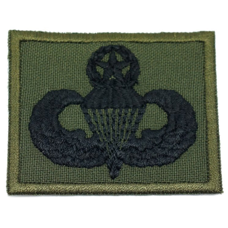 US MASTER PARACHUTIST BADGE - OD GREEN BORDER