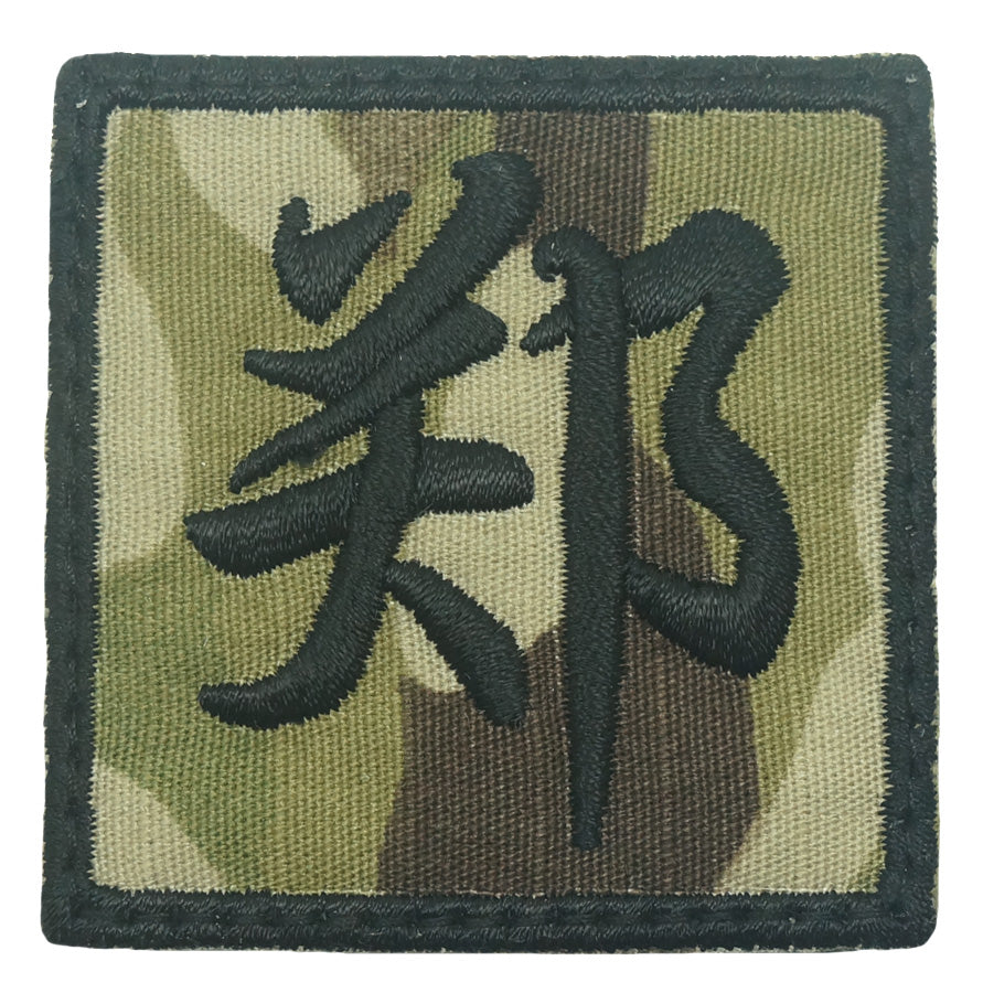 ZHENG PATCH - MULTICAM